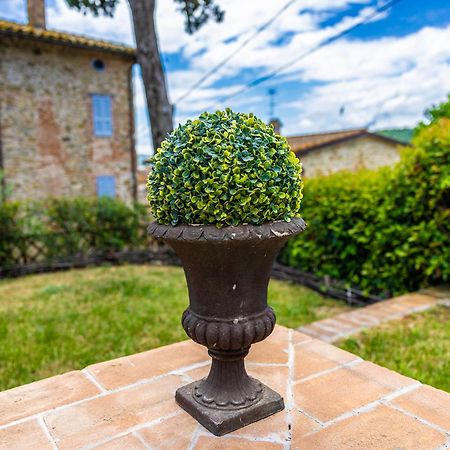 Un Petit Paradis Castiglione della Valle Екстериор снимка